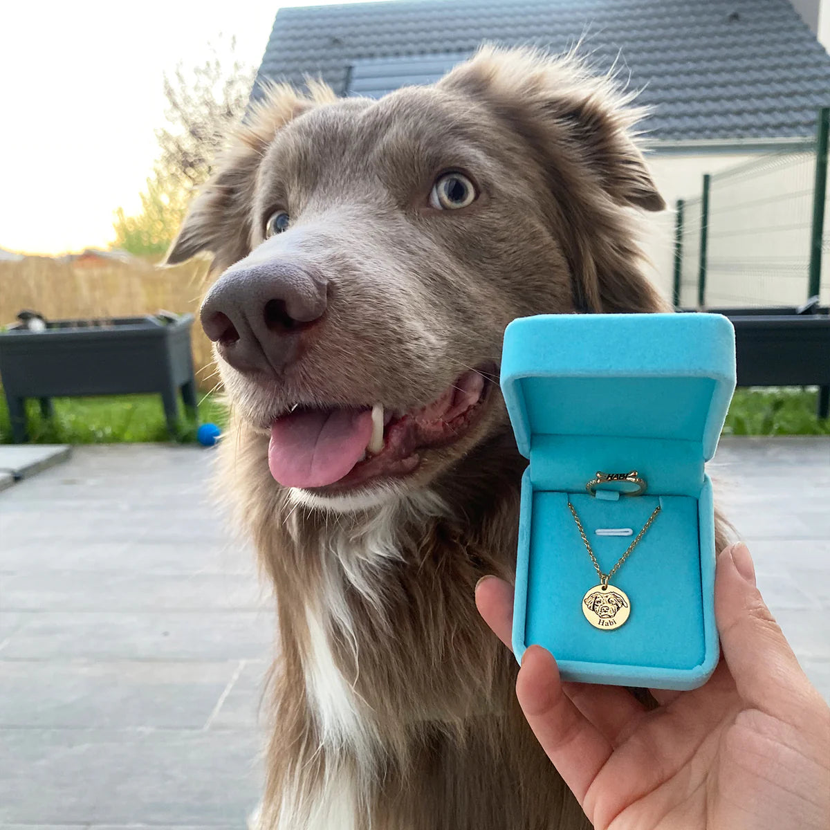 Collier Personnalisé Tête d'Animal