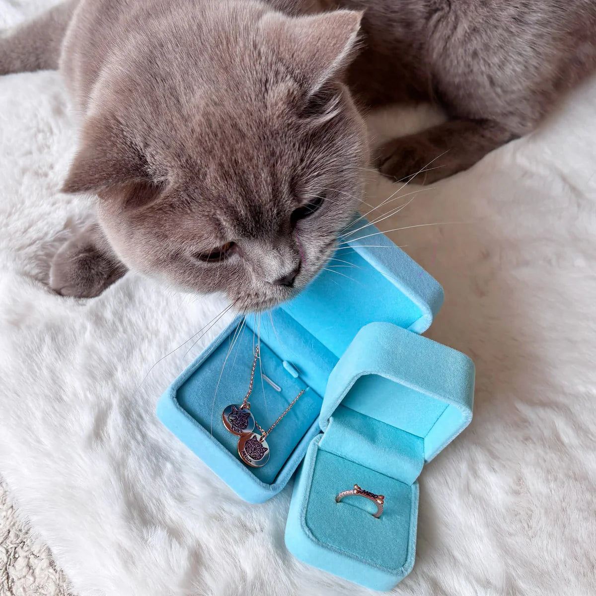 Collier Personnalisé Tête d'Animal