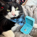 Collier Personnalisé Tête d'Animal